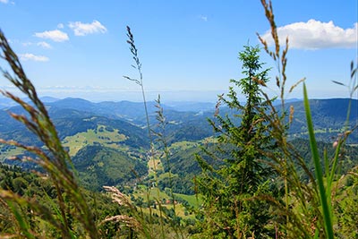 Wanderungen in herrlicher Schwarzwald-Landschaft